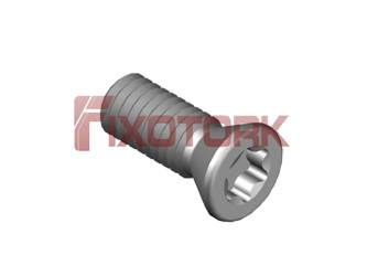 PARAFUSO TORX 35L95-E5515