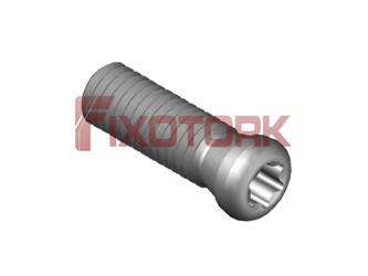 PARAFUSO TORX 50L17-H6520