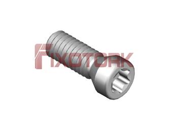 PARAFUSO TORX 25L70-A3508