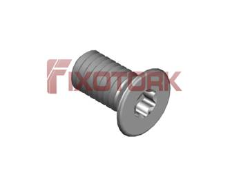 PARAFUSO TORX 35L71-W5809