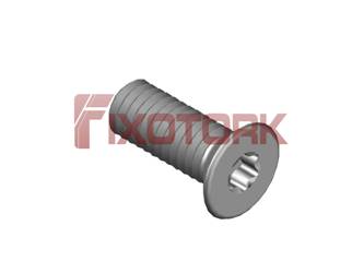 PARAFUSO TORX 35L90-W5809