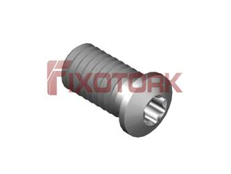 PARAFUSO TORX 60L13-L8020