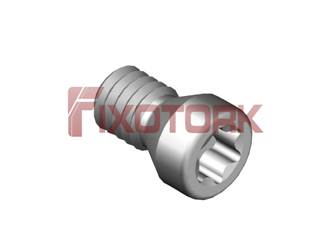 PARAFUSO TORX 25L50-A3608
