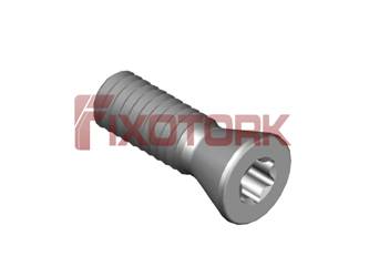 PARAFUSO TORX 25L80-W3907