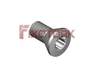 PARAFUSO TORX 25L50-B4508