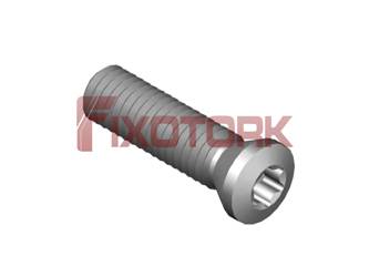 PARAFUSO TORX 50L19-B7220