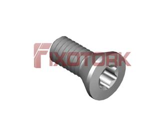 PARAFUSO TORX 25L60-B4508