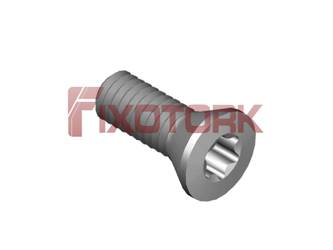 PARAFUSO TORX 25L70-B4508