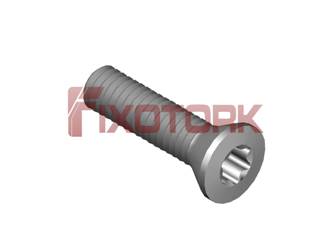 PARAFUSO TORX 25L10-B4508