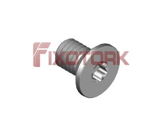 PARAFUSO TORX 60L10-W1125