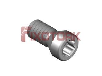 PARAFUSO TORX 25L60-A3608