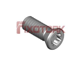 PARAFUSO TORX 35L96-B5315