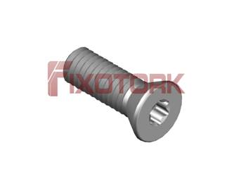 PARAFUSO TORX 35L10-W5809