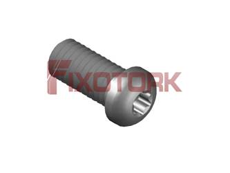 PARAFUSO TORX 60L15-L8620