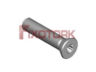 PARAFUSO TORX 35L16-W5809