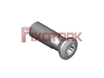PARAFUSO TORX 70L21-A1030 ESPECIAL