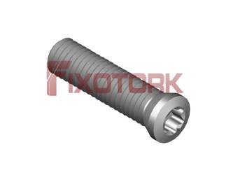 PARAFUSO TORX 50L20-K6520