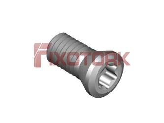 PARAFUSO TORX 45L10-B6820