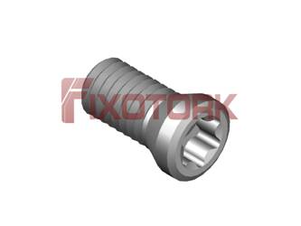 PARAFUSO TORX 30L65-A4210