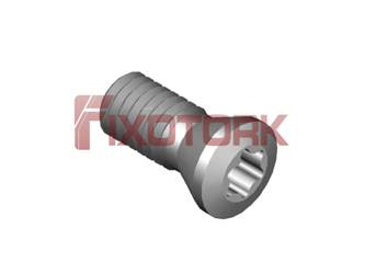 PARAFUSO TORX 45L11-A6820