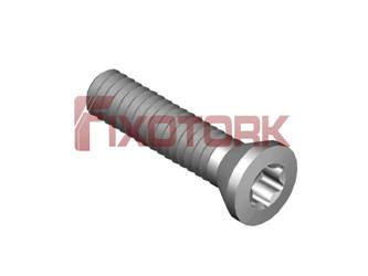 PARAFUSO TORX 30L11-A4208