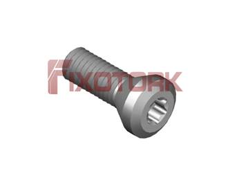 PARAFUSO TORX 30L10-A5409