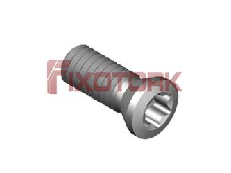 PARAFUSO TORX 25L70-K3708