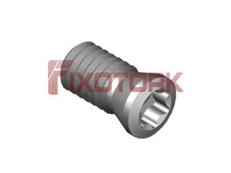 PARAFUSO TORX 40L80-B5015