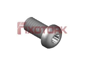 PARAFUSO TORX 60L15-L9825
