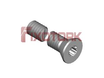 PARAFUSO TORX 35L25-W5709