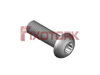 PARAFUSO TORX 50L19-L9525