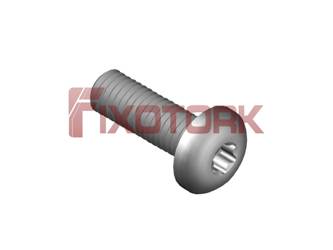 PARAFUSO TORX 50L19-L9820