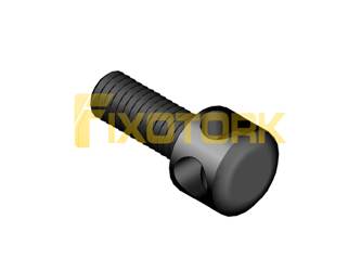 PARAFUSO AXIAL 30L12-AX55DIAM2.7