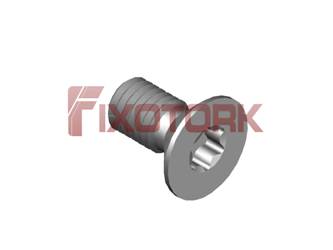PARAFUSO TORX 1/8L60-W6110