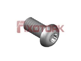 PARAFUSO TORX 40L10-L7015