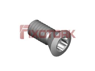 PARAFUSO TORX 25L58-B4108