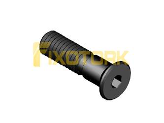 PARAFUSO ALLEN 50L19-PL80A25