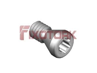 PARAFUSO TORX 25L58-A3908