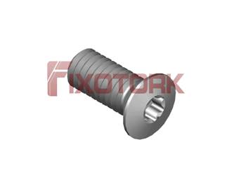 PARAFUSO TORX 40L10-G6610