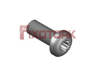 PARAFUSO TORX 40L12-LA7015