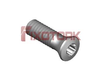 PARAFUSO TORX 25L80-B3907