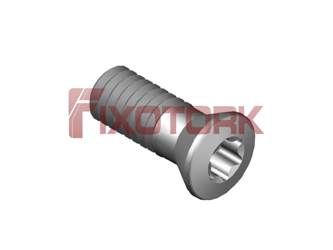 PARAFUSO TORX 25L67-B3907
