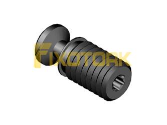PARAFUSO TORX 60L13-AN6009