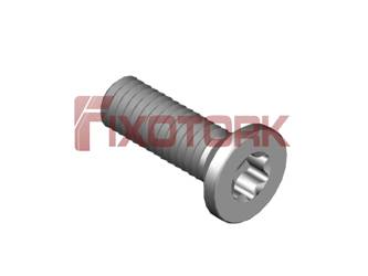 PARAFUSO TORX 50L15-W8525