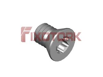 PARAFUSO TORX 40L57-W6315