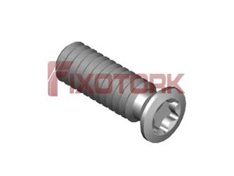 PARAFUSO TORX 20L65-A2706