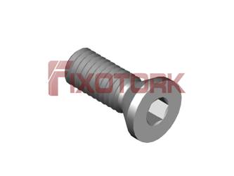 PARAFUSO ALLEN 30L81-C50A20