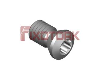 PARAFUSO TORX 50L90-A7020