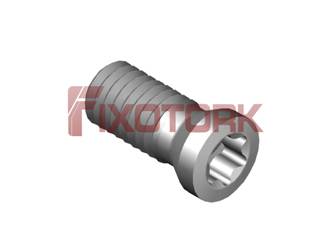 PARAFUSO TORX 30L72-A4009