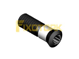 PARAFUSO TORX 50L16-AM6520